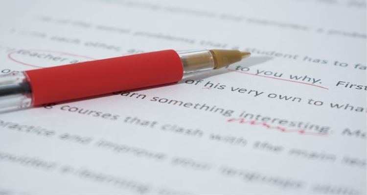 Urgent essay help